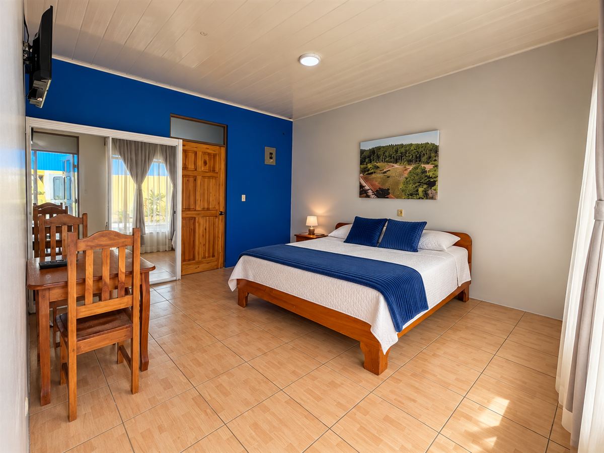 Habitación accesible con cama king